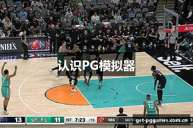 认识PG模拟器